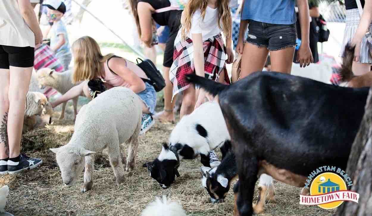 petting-zoo-at-hometown-fair