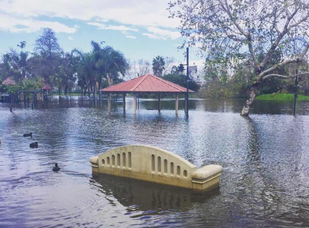 polliwog-park-flooded