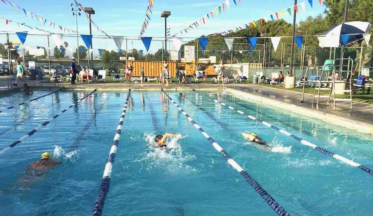 begg-pool-swimmers-racing